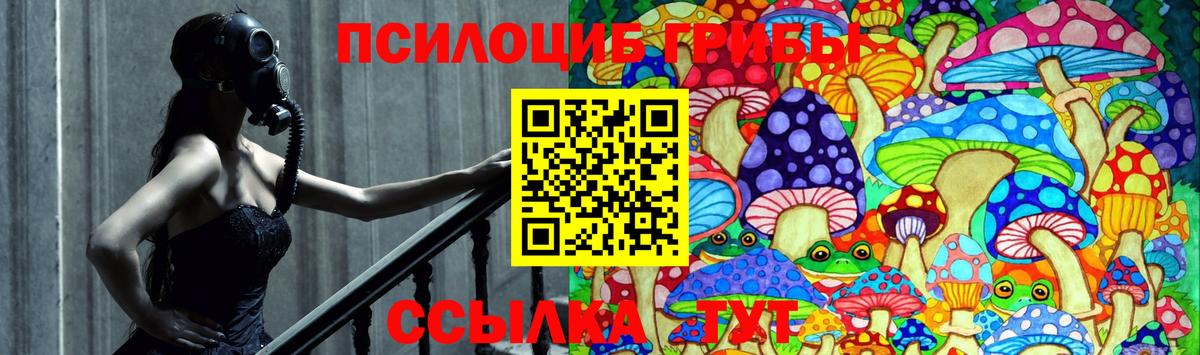 Псилоцибиновые грибы Magic Shrooms  Вход с VPN  где купить наркотик  Печора 